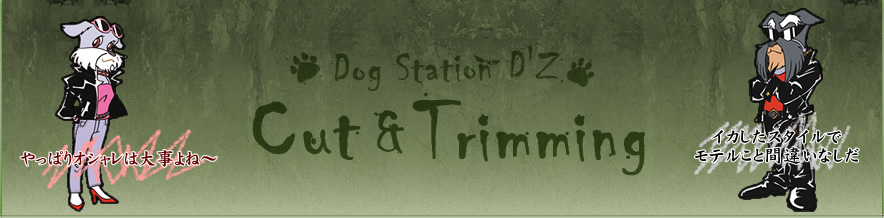 DOG STATION D'z Cut & Trimming