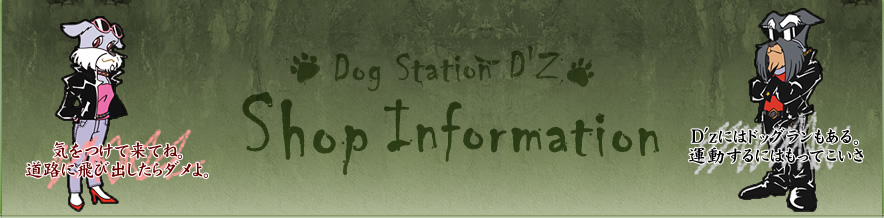 DOG STATION D'z Shop Information